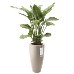 june round high 40cm greige